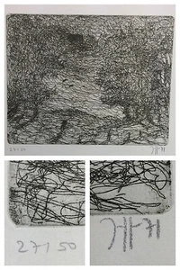 Horst Janssen : original RADIERUNG , handsigniert + nummeriert 27/50 1971 - Bild 1 von 1