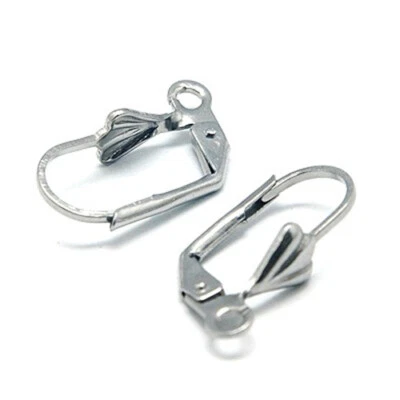 Pendiente de palanca de acero inoxidable 304 10 piezas para hacer joyas 19x9,5 mm Foto 1 de 2
