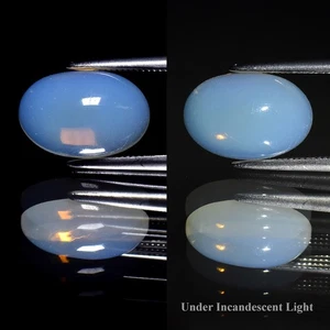π 1.75ct 11.5x7.8mm Oval Cabochon Natural White Opal - Color Play, Ethiopia Gem - Picture 1 of 6