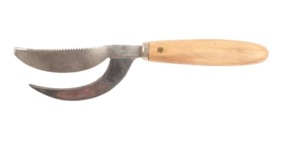Swedish Fish Cleaning and Scaling Wood Handle Knife Sweden Stalvaru Stainless - Image 1 of 4