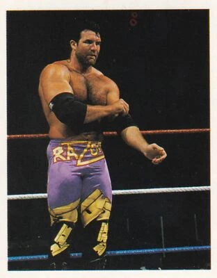Razor Ramon 1992 Merlin WWF Album Stickers Rookie Card 154 RC WWE WCW Scott Hall - Image 1 of 4