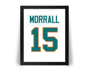 compare to EARL MORRALL Football Photo Picture - 8x10 11x14 or 16x20 (JZ) - Picture 1 of 12