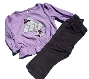 Camisa Pantalones Gymboree Niñas Fair Isle Osos Brillantes Iglú Púrpura Talla 12-18 Meses - Imagen 1 de 9