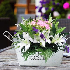 1pc Vegetables Flower Planting Basin Rectangular Planting Trough Flower Pot - Picture 1 of 12