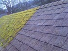 Moss Killer (roof / patio / hardsurface) fast acting formula