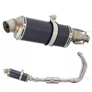 Exhaust for Suzuki GSX8S Full Carbon Style System 2023 - 2024 - Picture 1 of 5