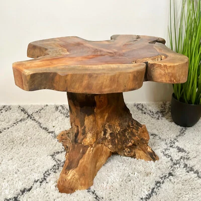 Teak Root Wood Mushroom Coffee Table Round Side End Lamp Table Home Furniture  - Image 1 of 4