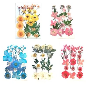 Dried Pressed Flowers80 Pcs Real Pressed Flowers Dry Leaves Bulk Natural Herbs - Picture 1 of 6