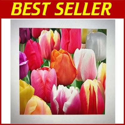 Tulip Extravaganza - 50 bombillas para exhibición de jardín vibrante Foto 1 de 2