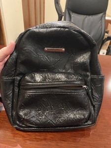 stone mountain backpack purse