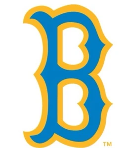 UCLA university of California bruins Vinyl decal Sticker NCAA bumper window car - Picture 1 of 3