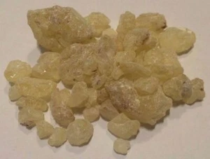 Copal Harz (Shorea javanica) natürlicher Weihrauch wild geerntet & koscher Indonesien - Bild 1 von 2