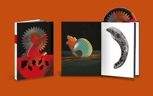 Pixies Doggerel (CD) Deluxe with Book - Picture 1 of 2