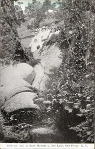 Old Forge, NY View on Trail to Bald Mountain, 3rd Lake Divided Back Postcard - Bild 1 von 2