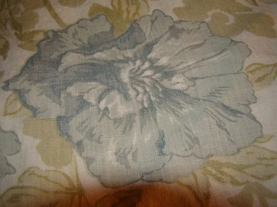 2- Soft Surroundings Cream And Blue 100% Linen Cottagecore Floral Euro Shams - Image 1 of 4