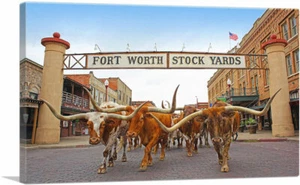ARTCANVAS Fort Worth Texas Bulls Longhorn Steers Stock Yards impression d'art sur toile - Photo 1/15