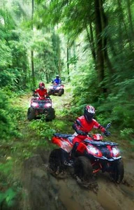 LED Headlight Bulbs 6000K 12V 35W FOR 2020 Honda ATV TRX520 34901 HR3 A21 - Bild 1 von 13