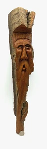 ÚNICO ARTE POPULAR ALGODÓN MADERA CORTEZA ARTISTA J. ZYZNEIWSKI 1997 MANITOBA 18" - Imagen 1 de 16