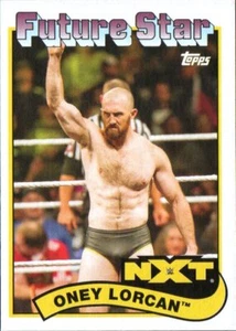 Tarjeta de lucha libre 2018 Topps WWE Heritage #106 Oney Lorcan FS Future Star - Imagen 1 de 1