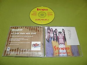Seetang - Go Your Own Way (Lindsey Buckingham) - 1994 Israel Promo Radio CD NM - Bild 1 von 2