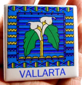 Vintage Puerto Vallarta Mexiko Reise Souvenir Kühlschrankmagnet - Bild 1 von 3