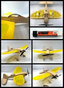 Stevens Aeromodel "LiddleGee UM" Ready to Fly Micro Airplane w/Battery Very Nice - Picture 1 of 20
