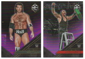 Panini Chronicles WWE 2023 (Limited) púrpura/49 - Elige cualquiera - Imagen 1 de 3