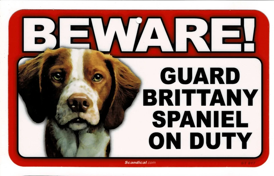 CUIDADO CON EL LETRERO LAMINADO BRITTANY SPANIEL PERRO/MASCOTA. ENVÍO COMBINADO. Foto 1 de 1