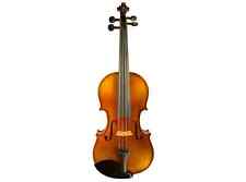 CR-264 Fully Carved Violin Outfit 4/4