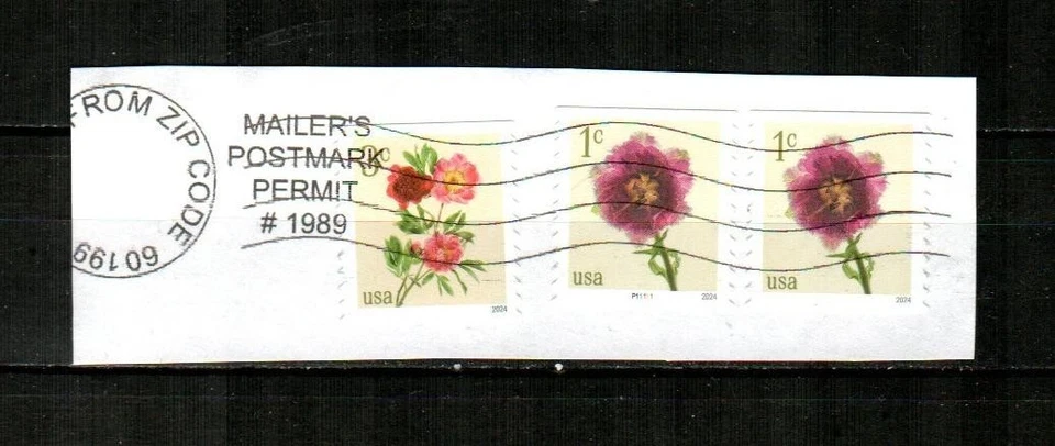 UNITED STATES Scott's 5902 ( 2v + 1 PNC ) Fringed Tulip F/VF Used ( 2024 ) - Image 1 of 1