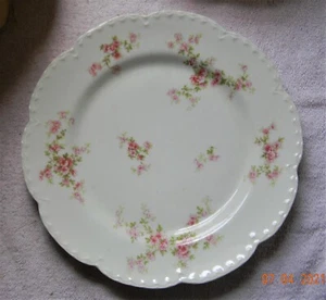 Green ~ Haviland France Schleiger 29 Blank #5 "Star" LUNCHEON 8.5" ~ Red Limoges - Picture 1 of 5