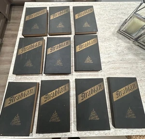 Rare Arabian Nights Supplemental Vol 10 Richard Burton Hardcover Set Vintage - Picture 1 of 8