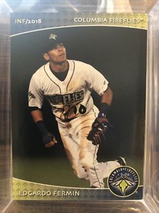 2018 Columbia Fireflies Edgardo Fermin RC Rookie NY Mets VZ