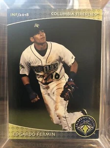 2018 Columbia Fireflies Edgardo Fermin RC Rookie NY Mets VZ - Picture 1 of 1