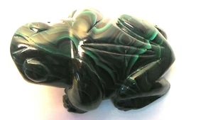 Malachit Frosch aus Zaire    - Bild 1 von 3