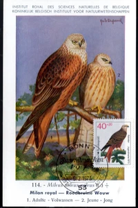 908+ FDC CARTE 1er JOUR ALLEMAGNE OISEAUX MILAN ROYAL - Picture 1 of 1