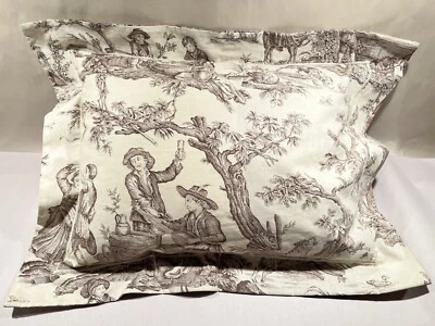 Pierre Frey Francia País Francés Reversible Toile Boudoir Almohada Moca 17”x21” Foto 1 de 4