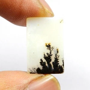 Piedra preciosa rectangular cabujón ágata dendrita shazar escénica natural 3 quilates #10429 - Imagen 1 de 6