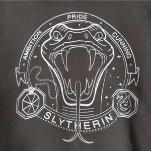 Harry Potter Boys Slytherin Snake Line Art Sweatshirt Hoodie Black Youth M - Picture 1 of 5