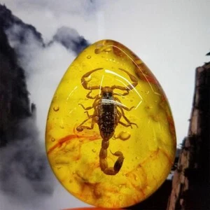 Insect Stone Scorpions Inclusion Amber Resin Baltic I9A4 Pendant U7 New P2U4 - Bild 1 von 10