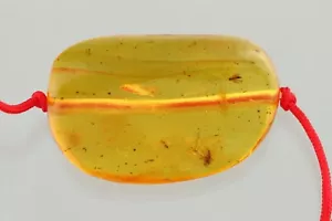 Fossil Insects BALTIC AMBER Unisex Red String Adjustable Bracelet 3.3g 241218-3 - Picture 1 of 6