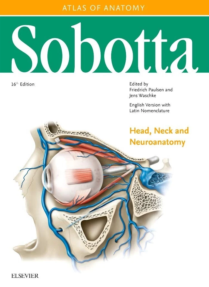 Sobotta Atlas of Anatomy, Vol. 3, English/Latin: Head, Neck and Neuroanatomy,NEU - Bild 1 von 1