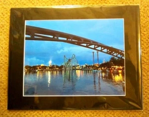 HULK ROLLER COASTER Signed Original Photo "Blue With Envy" Universal Lmtd 2/5 - Imagen 1 de 5