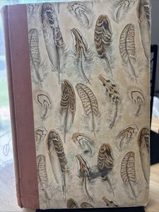 VTG: (1966) “ That Quail, Robert” By Margaret Stanger, First Edition No DJ - Bild 1 von 8