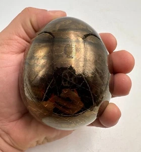 Rare oeuf en céramique Émaux dorés aux reflets mordorés signé CAZIN - Bild 1 von 6