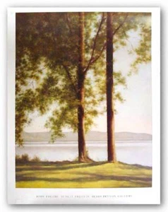 Impresión artística Sunlit Trees II, 2004 John Folchi 40x30 - Imagen 1 de 1