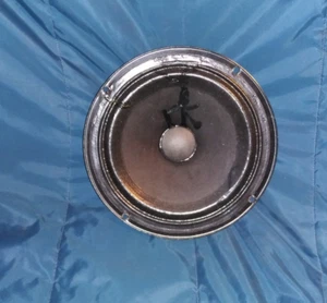 Peavey - 8" Driver - Closed Back - 70777081 - Reparierter Kegel - Bild 1 von 4