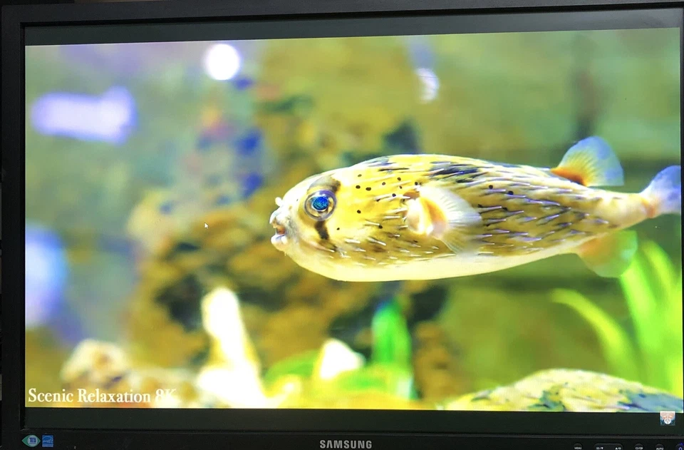 Samsung S24E650BW 24"Advanced Business Monitor DVI VGA. tested working - Image 1 of 4