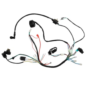 Wiring Harness Kits Assembly for ATC70 Pit Dirt Bike CRF50 CRF70 XR50 Apollo SSR - Picture 1 of 7