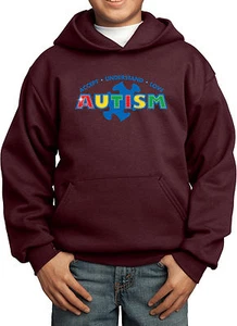 Kids Autism Accept ,Understand,Love Hoodie   - Picture 1 of 20